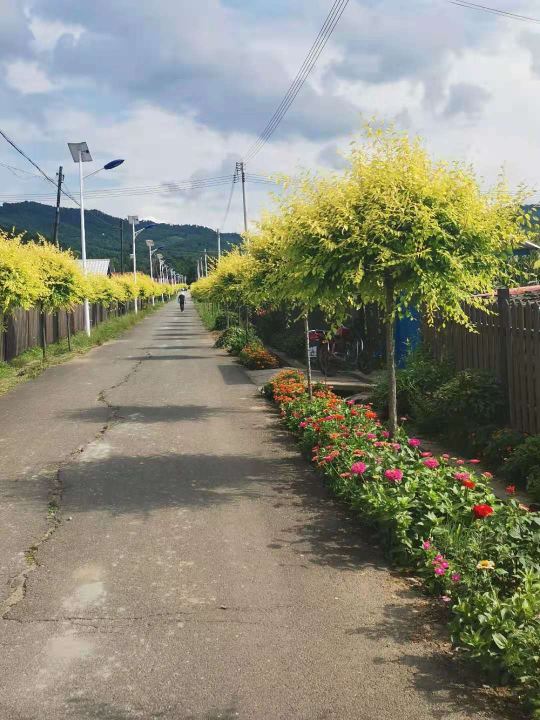 足彩比分